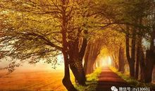 比喻句秋天的落叶