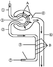 在句子中使用时间