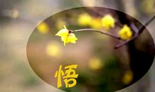 突然顿悟人生的句子