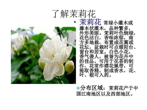 描述花的比喻句