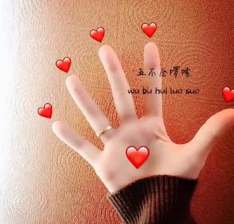 窦音最热的供词