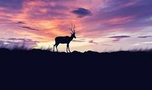 令人热血沸腾的话