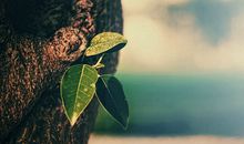 人生感悟的句子简短的说说心情：不要让挫折感把你吞噬，你就一定会成功