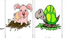 动物小学二年级谚语