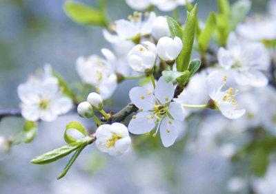 人生感悟句子简短地谈论了情绪:不要让挫败感吞噬您,您一定会成功的1
