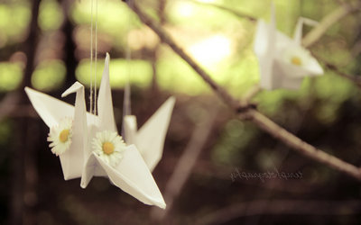 带有有趣生活感知的句子图片：苦难是化妆的福气