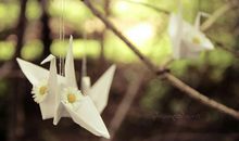 有趣人生感悟的句子图片：苦难，是化了妆的祝福