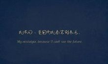 单身的人说的伤感说说