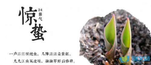 节气和农业谚语