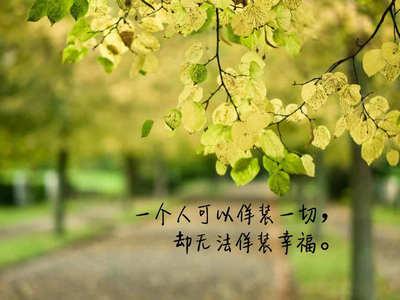 生命之爱的情感理解经典的句子，生命之爱谈论的情绪是灿烂而哲理的