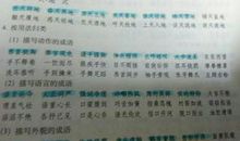 描写人物性格的成语