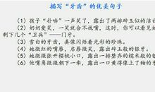 描写外貌的优美语句