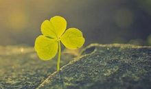 生活坎坷的领悟句子及说说