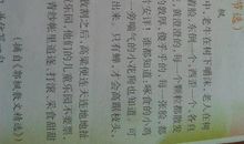 友谊像什么比喻句