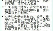 小书柜拟人句