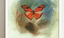 表示全是动物的谚语