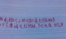 用真像造句大全