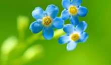 有关成功的英语名言