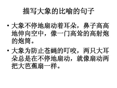 描述鼻子的比喻句子