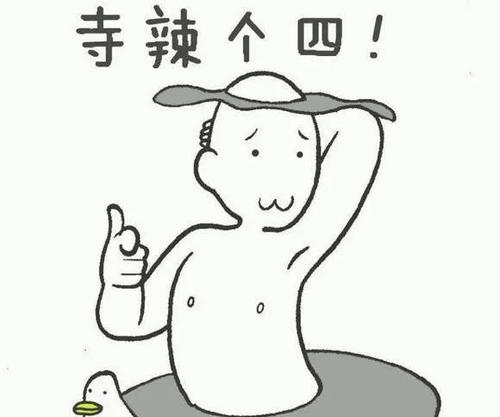 玛莎·哈丹（Martha Hardang）会计寓言