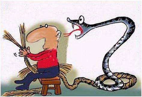 英语谚语与动物有关