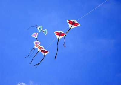 放开风筝线，收获整个蓝天1