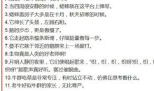 拟人句关于事物