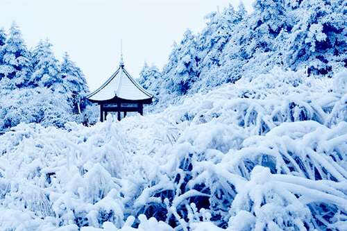 关于珊瑚的寓言