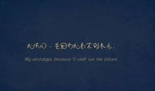 自我介绍的优美句子