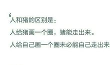 钻牛角尖歇后语