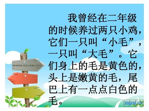 小动物动作描述片段