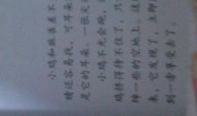 描写小动物外形的句子