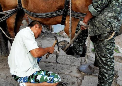 膝盖上的马蹄铁