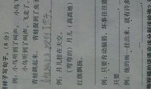 描写小动物的好句子