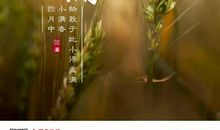 小满节气的谚语