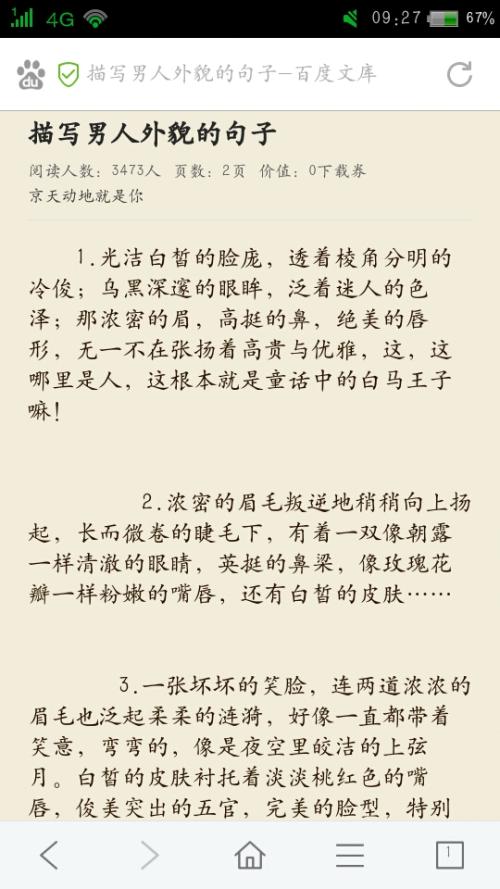 描述男孩的句子