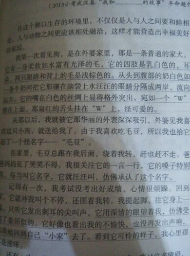 写出有关小动物外观的句子