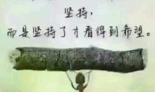 贬低女人的句子