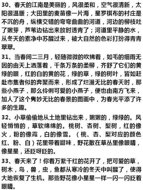 善于形容外表的单词和句子