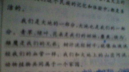 快速时间的隐喻