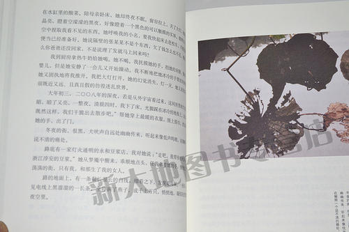 Wildfire收藏经典句子