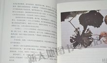 野火集经典句子