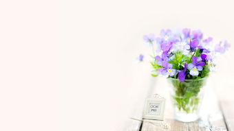 简短的文学短语