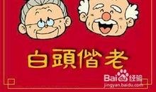 新年祝福语创意幽默