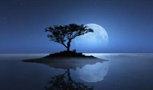 描写黑夜的诗句