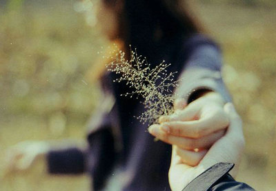 如果找不到继续存在的理由，请找到重新开始的理由1