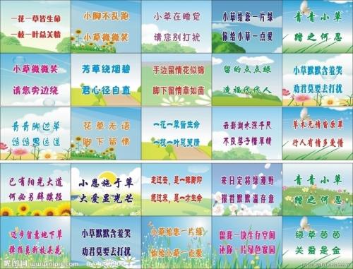 完整的环境标语和标语集合