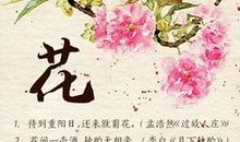 风花雪月的句子