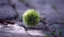 朋友圈诗意句子