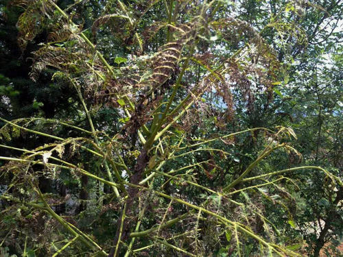 寓言故事阻碍进步